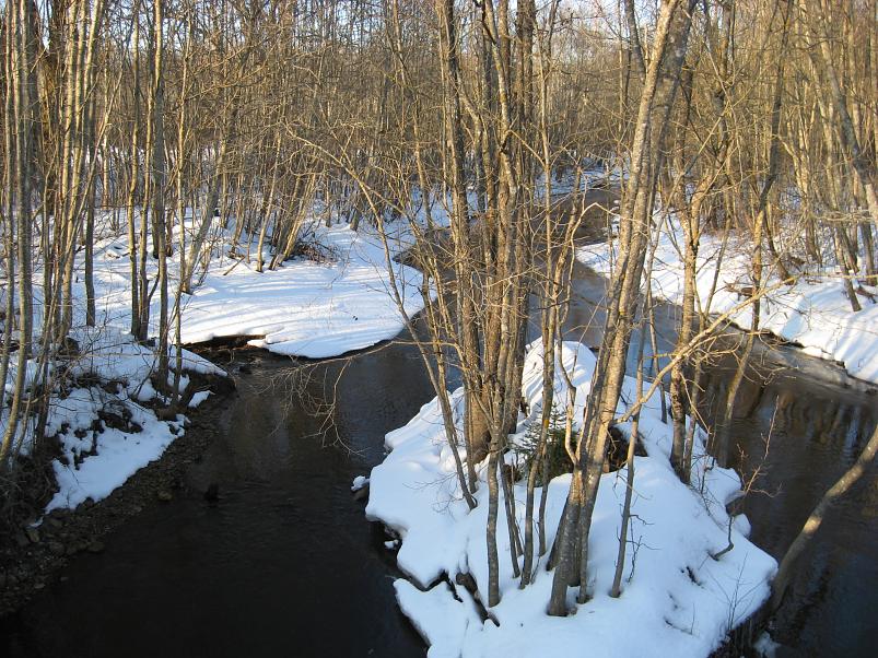 R�tsadega Pedjal 2009