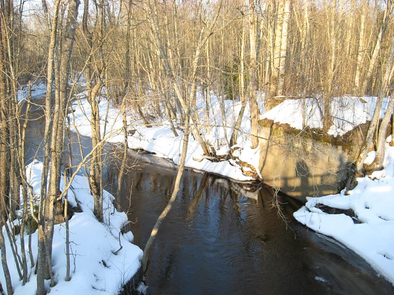 R�tsadega Pedjal 2009