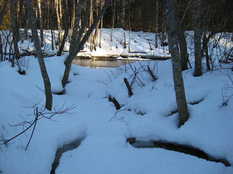 R�tsadega Pedjal 2009