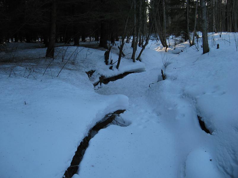 R�tsadega Pedjal 2009