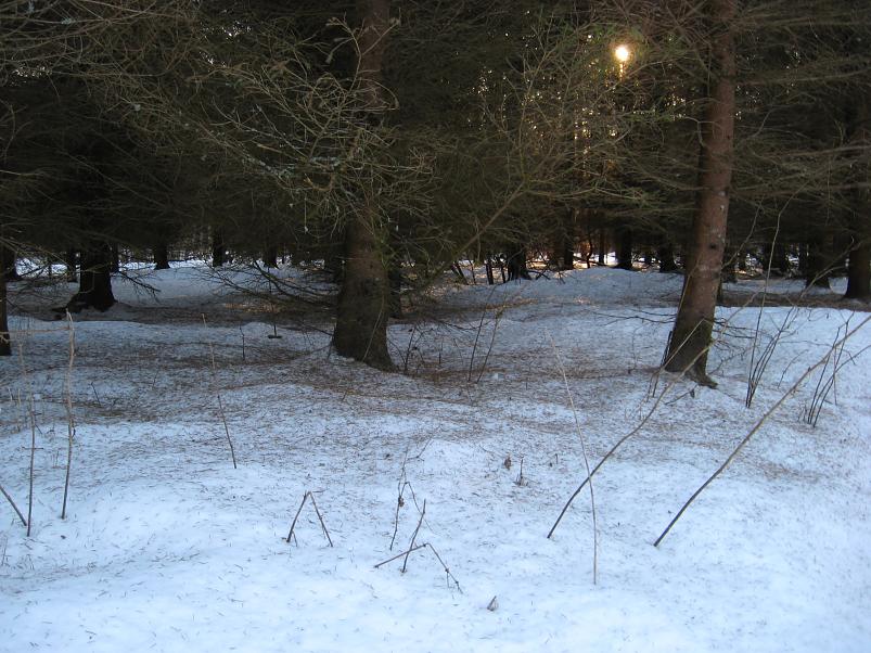 R�tsadega Pedjal 2009