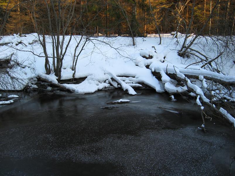 R�tsadega Pedjal 2009