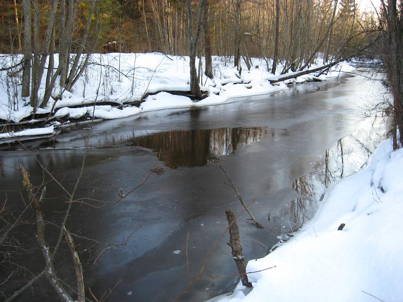 R�tsadega Pedjal 2009