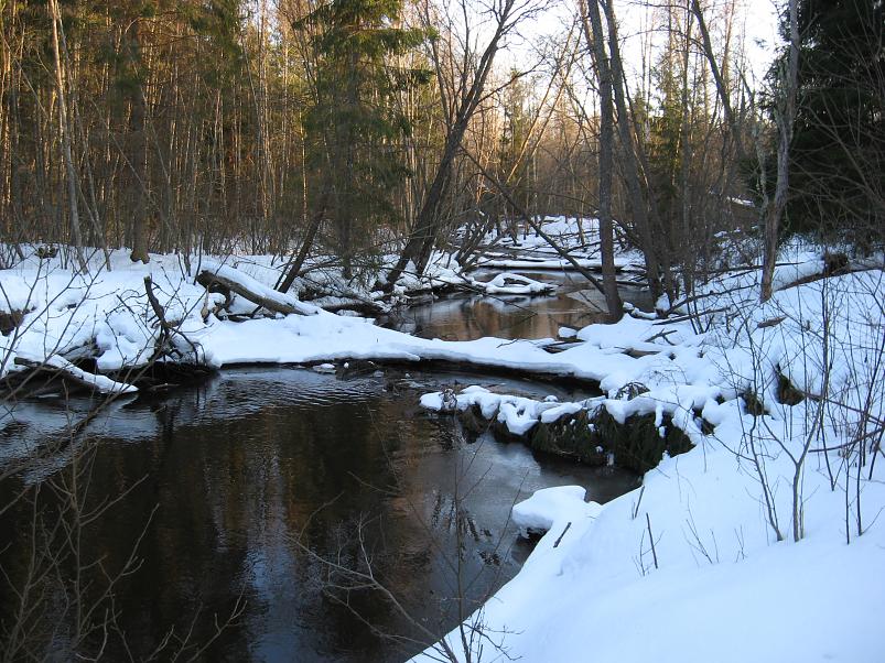 R�tsadega Pedjal 2009