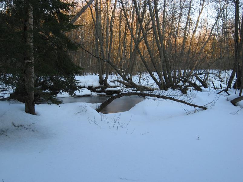 R�tsadega Pedjal 2009