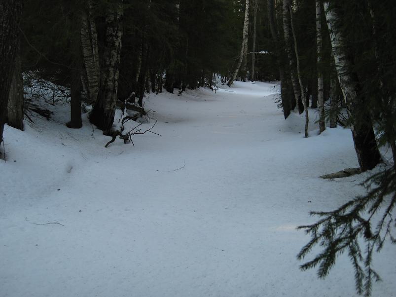 R�tsadega Pedjal 2009