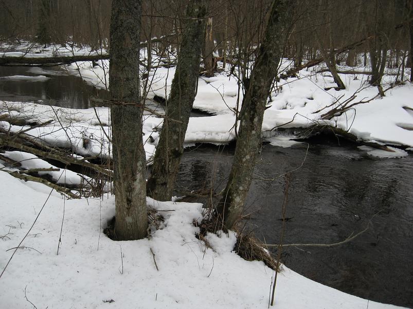 R�tsadega Pedjal 2009