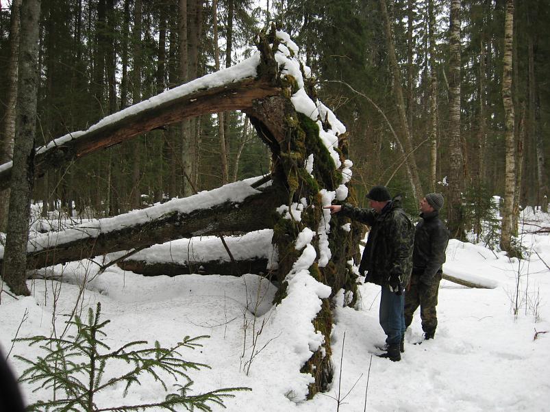 R�tsadega Pedjal 2009