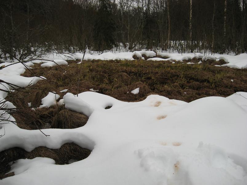 R�tsadega Pedjal 2009