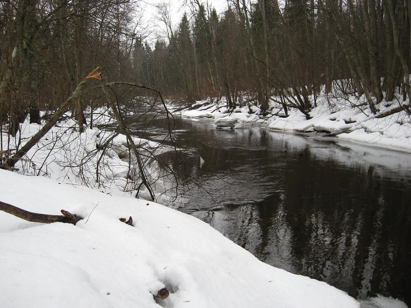 R�tsadega Pedjal 2009