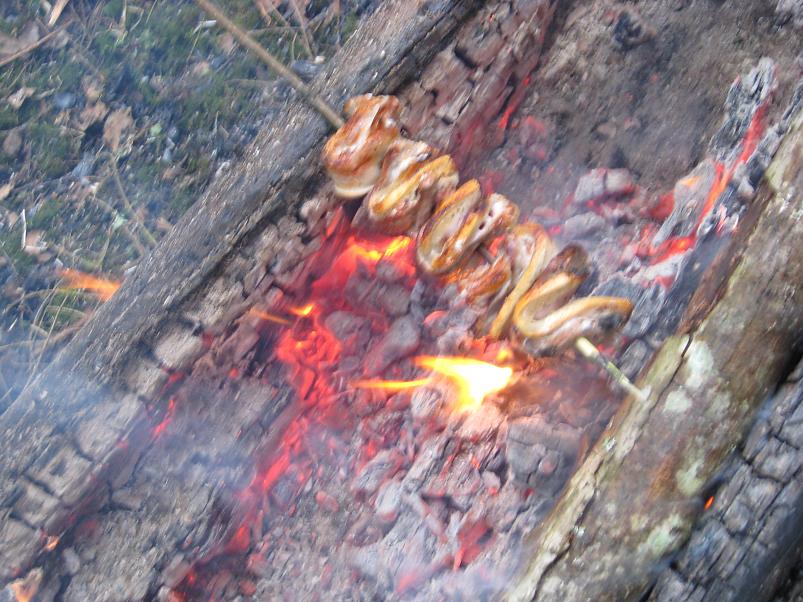 R�tsadega Pedjal 2009