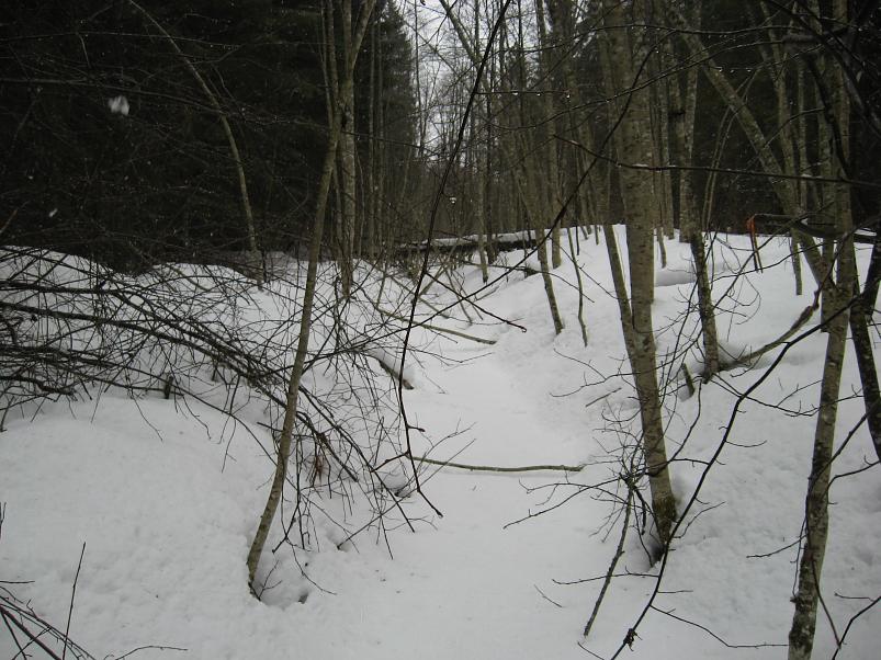 R�tsadega Pedjal 2009