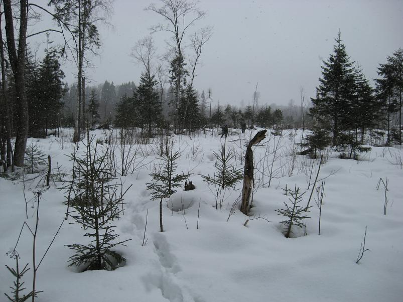 R�tsadega Pedjal 2009