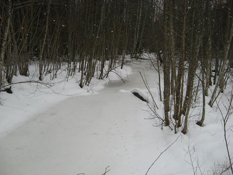 R�tsadega Pedjal 2009