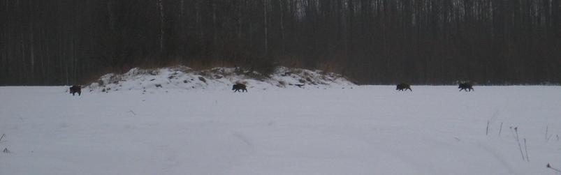 Koosa k�lmamatk 2009