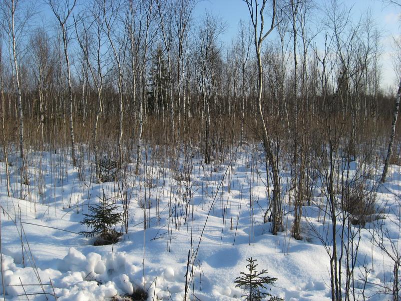 Koosa k�lmamatk 2009