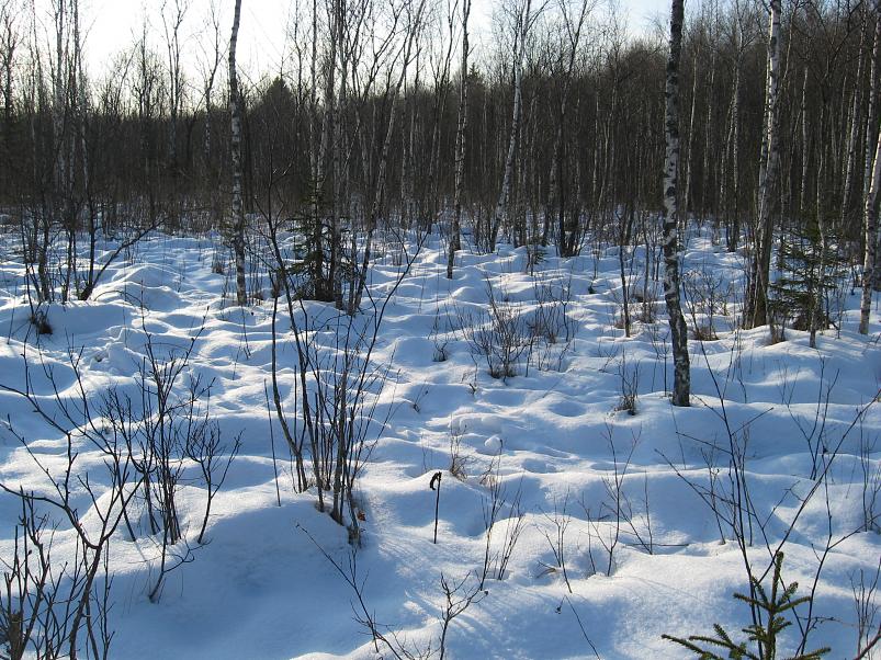 Koosa k�lmamatk 2009