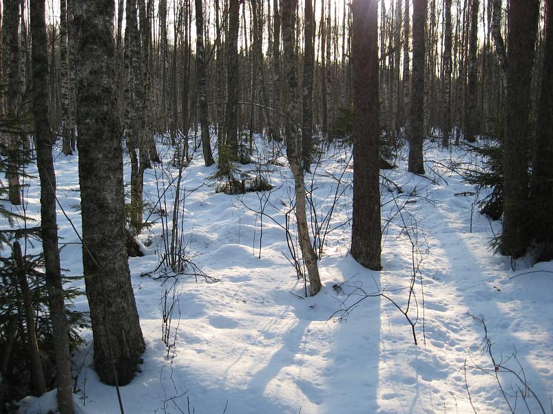 Koosa k�lmamatk 2009