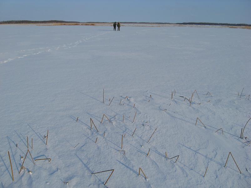 Koosa k�lmamatk 2009