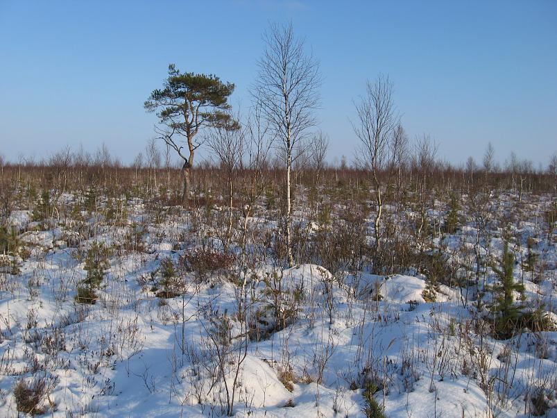 Koosa k�lmamatk 2009