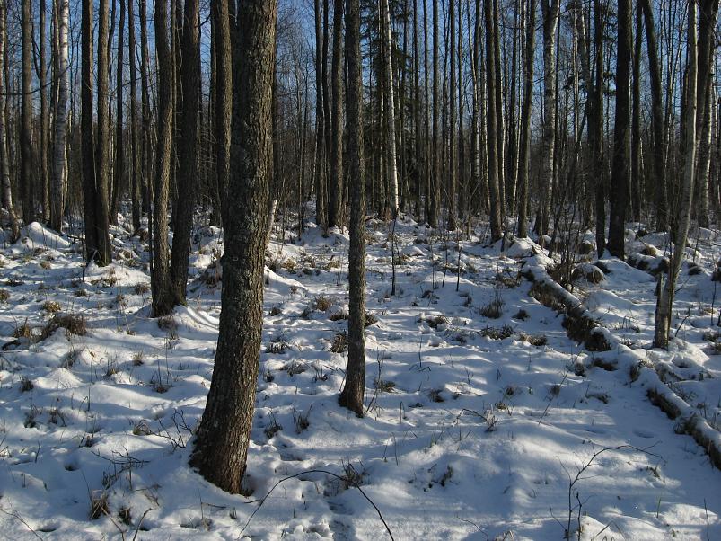 Koosa k�lmamatk 2009