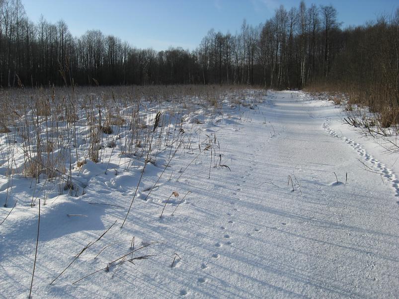 Koosa k�lmamatk 2009