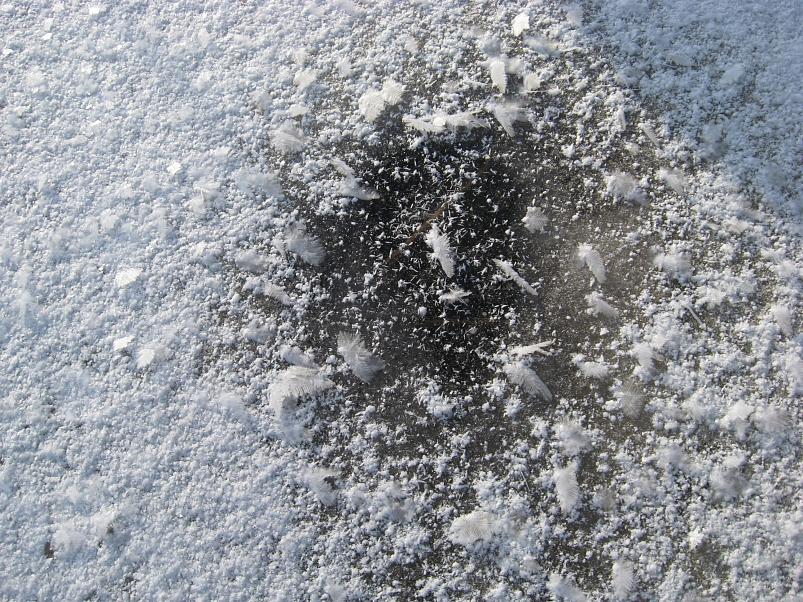 Koosa k�lmamatk 2009