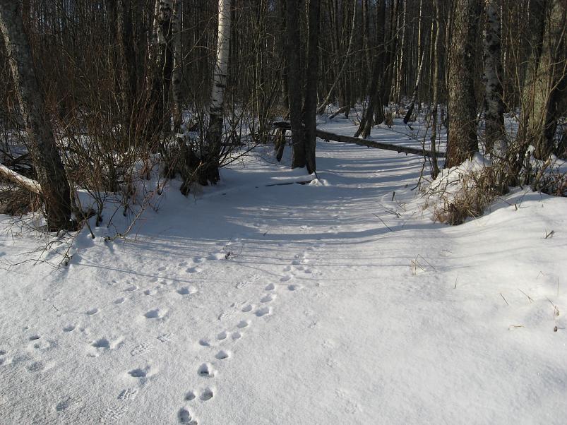 Koosa k�lmamatk 2009