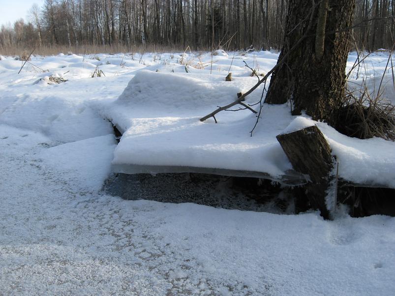 Koosa k�lmamatk 2009