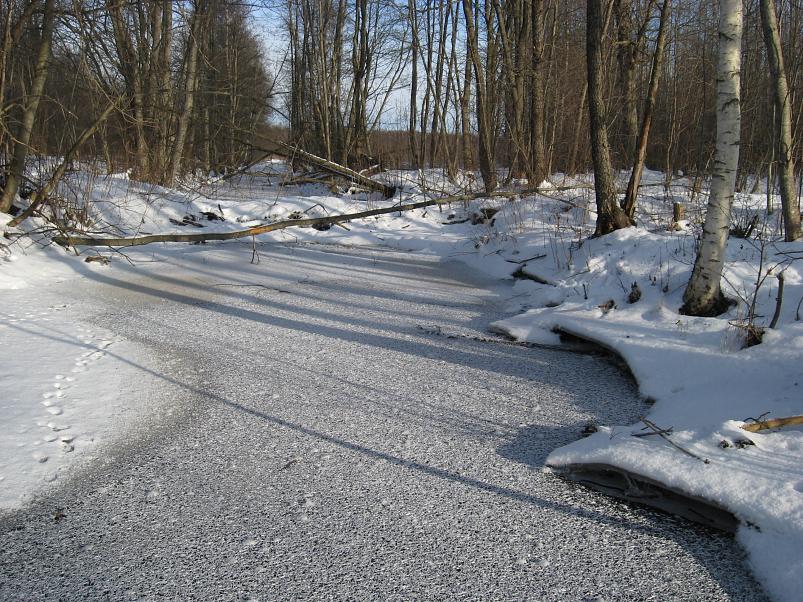 Koosa k�lmamatk 2009