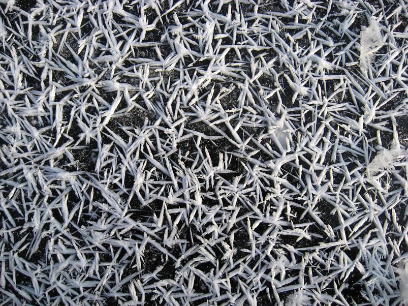 Koosa k�lmamatk 2009