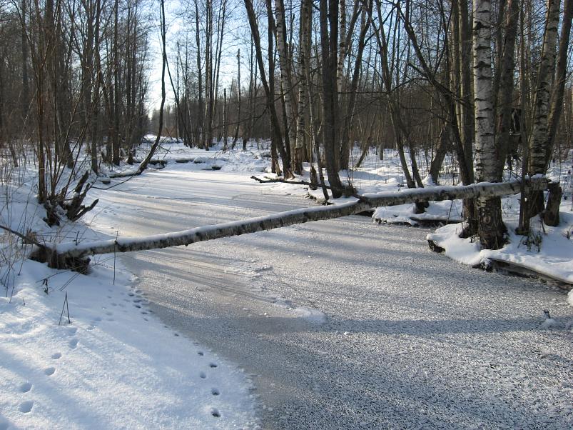 Koosa k�lmamatk 2009