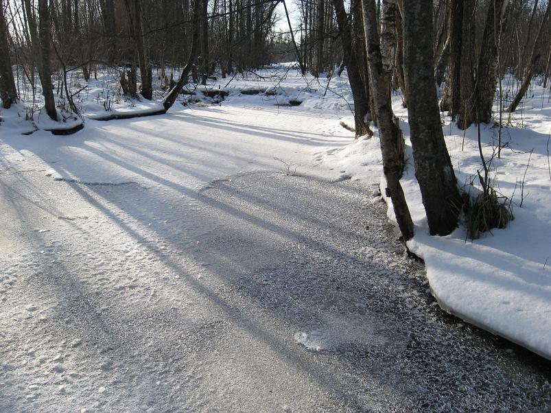 Koosa k�lmamatk 2009