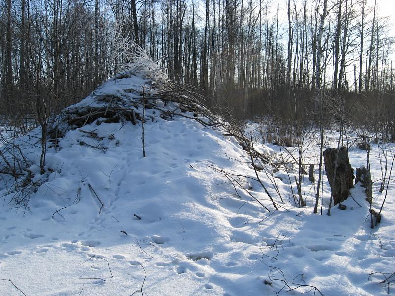 Koosa k�lmamatk 2009