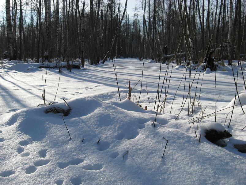 Koosa k�lmamatk 2009