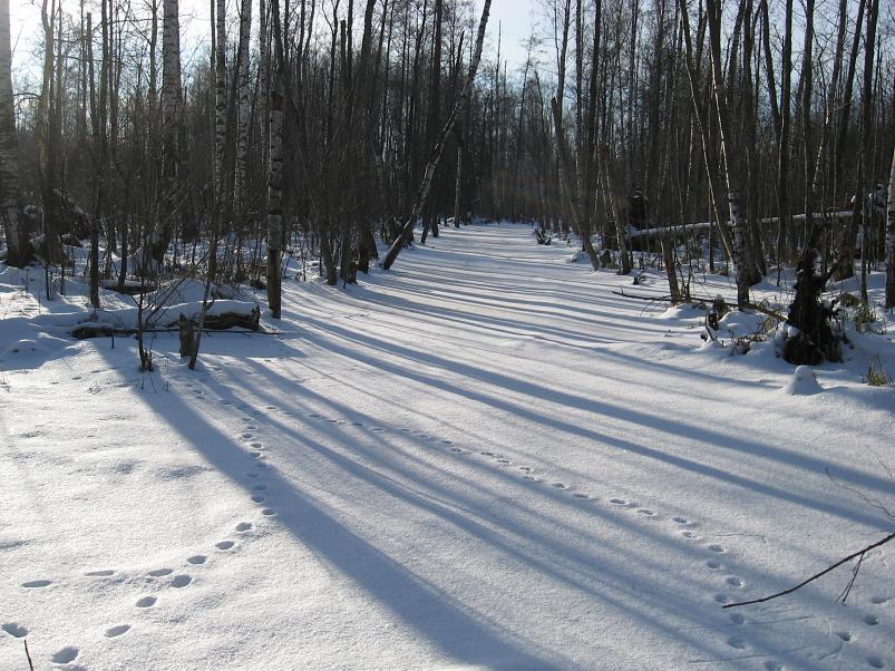 Koosa k�lmamatk 2009