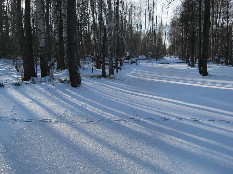 Koosa k�lmamatk 2009