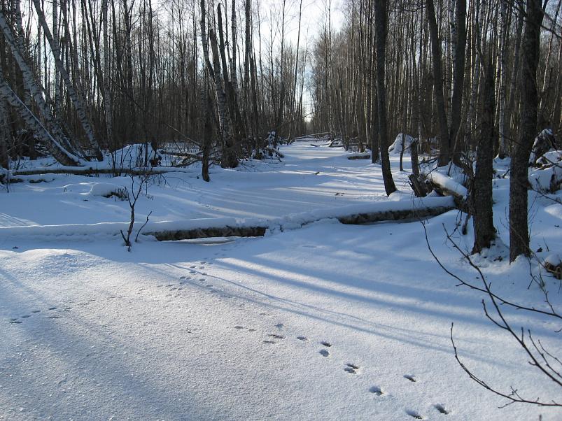 Koosa k�lmamatk 2009