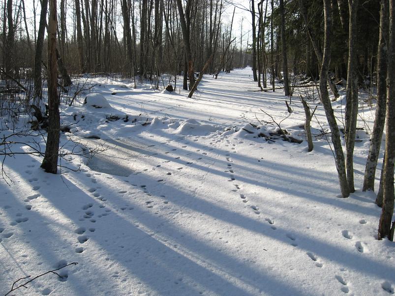 Koosa k�lmamatk 2009