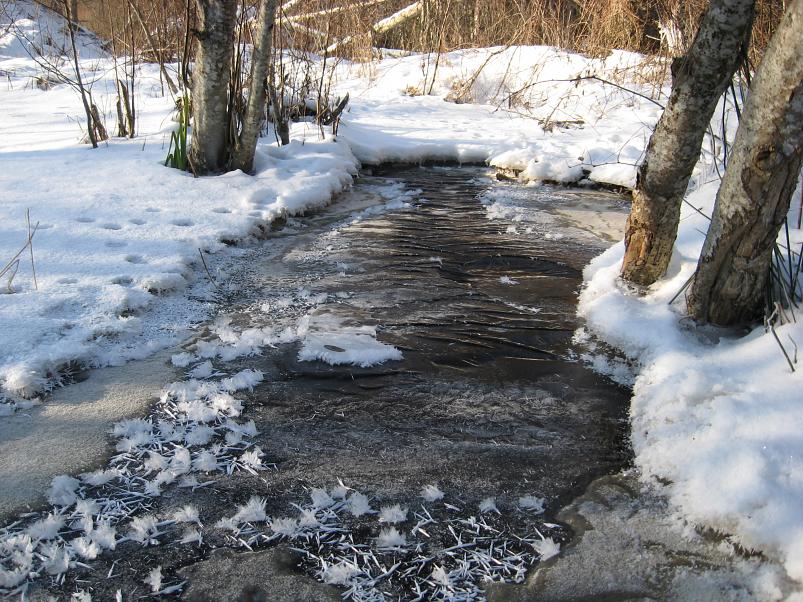 Koosa k�lmamatk 2009