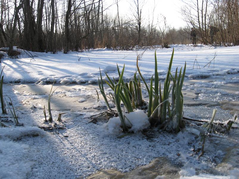 Koosa k�lmamatk 2009