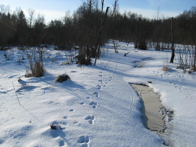 Koosa k�lmamatk 2009