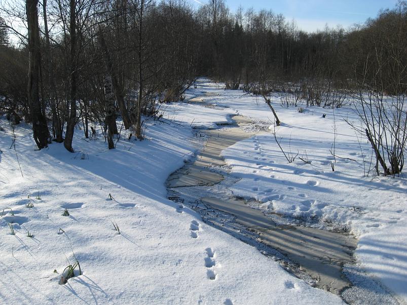 Koosa k�lmamatk 2009