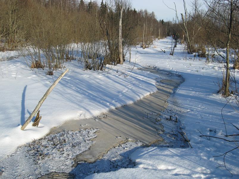 Koosa k�lmamatk 2009