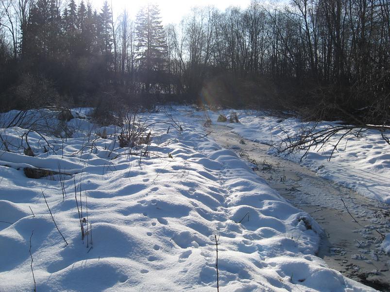 Koosa k�lmamatk 2009