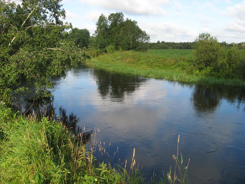 P�ltsamaa j�el 2008