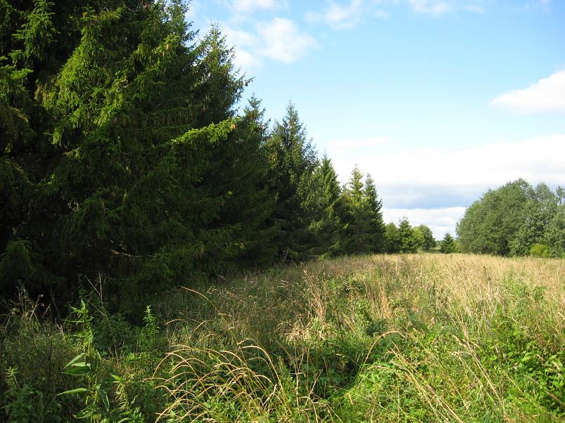 P�ltsamaa j�el 2008