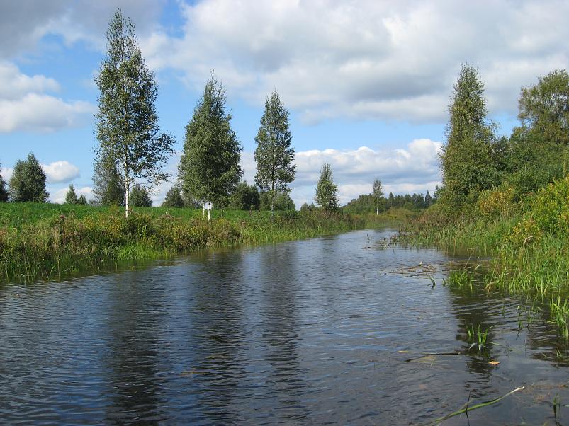 P�ltsamaa j�el 2008