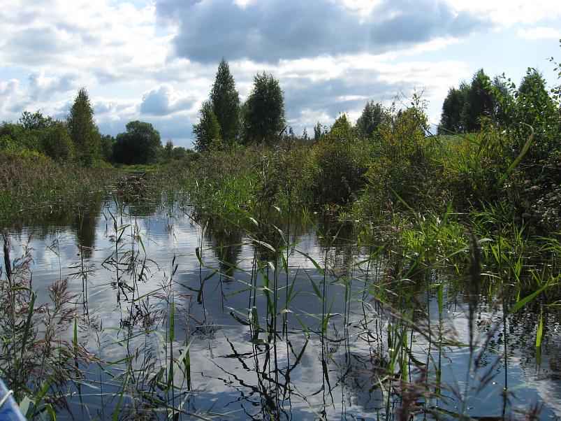 P�ltsamaa j�el 2008