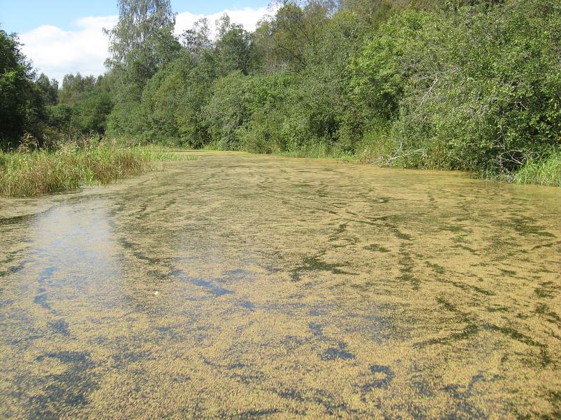 P�ltsamaa j�el 2008